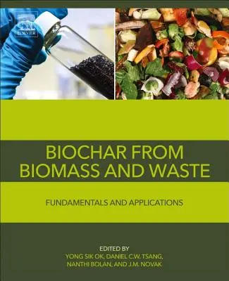 Biochar from Biomass and Waste: Fundamentos y aplicaciones - Biochar from Biomass and Waste: Fundamentals and Applications