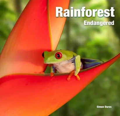 Selva tropical: En peligro - Rainforest: Endangered
