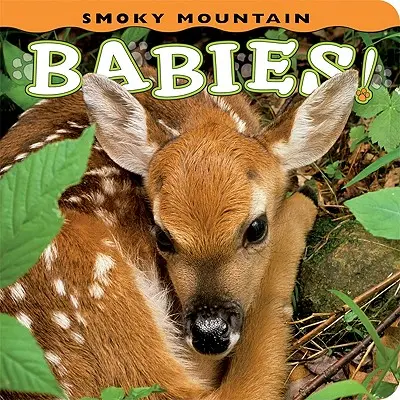 Bebés de las Montañas Humeantes - Smoky Mountain Babies!