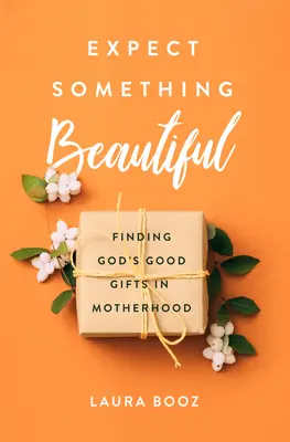 Esperar algo hermoso: Encontrar los buenos dones de Dios en la maternidad - Expect Something Beautiful: Finding God's Good Gifts in Motherhood