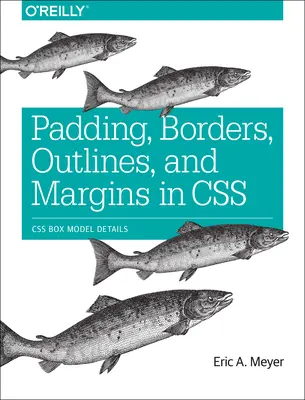 Relleno, bordes, contornos y márgenes en CSS: Detalles del modelo de caja CSS - Padding, Borders, Outlines, and Margins in CSS: CSS Box Model Details