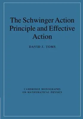 El principio de acción de Schwinger y la acción eficaz - The Schwinger Action Principle and Effective Action