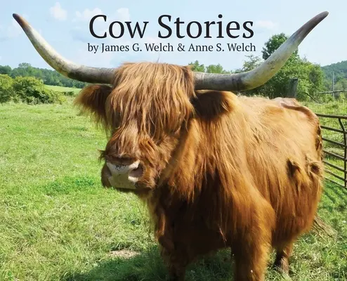 Historias de vacas - Cow Stories