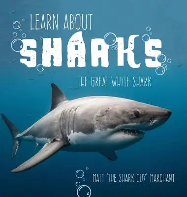 Aprende sobre los tiburones: El tiburón blanco - Learn About Sharks: The Great White Shark