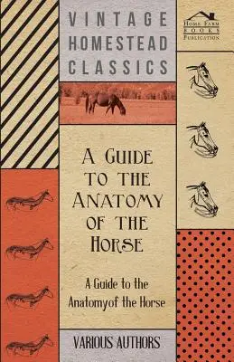 Guía de la anatomía del caballo - Colección de artículos históricos sobre el esqueleto, la pezuña, los dientes, la locomoción y otros aspectos del anato equino - A Guide to the Anatomy of the Horse - A Collection of Historical Articles on the Skeleton, Hoof, Teeth, Locomotion and Other Aspects of Equine Anato