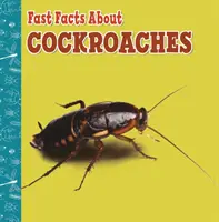 Datos básicos sobre las cucarachas - Fast Facts About Cockroaches