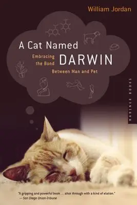 Un gato llamado Darwin: El vínculo entre el hombre y su mascota - A Cat Named Darwin: Embracing the Bond Between Man and Pet