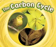 Ciclo del carbono - Carbon Cycle