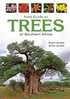 Guía de campo de los árboles del sur de África - Field Guide to Trees of Southern Africa