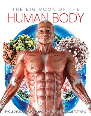 El gran libro del cuerpo humano - The Big Book of the Human Body