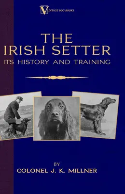 El Setter Irlandés - Su Historia y Adiestramiento (Un Clásico de la Raza de Vintage Dog Books) - The Irish Setter - Its History & Training (A Vintage Dog Books Breed Classic)