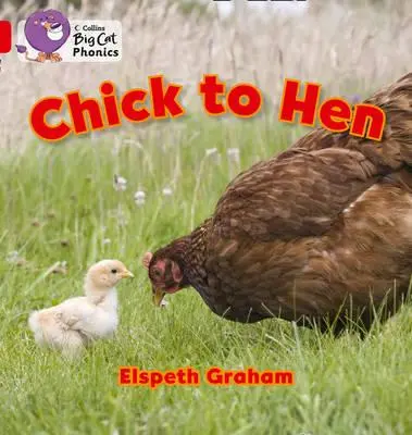 De pollito a gallina - Chick to Hen