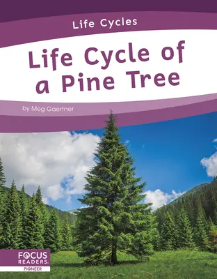 Ciclo de vida de un pino - Life Cycle of a Pine Tree