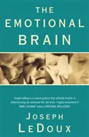 Cerebro emocional - Emotional Brain