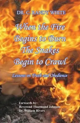 Cuando el fuego empieza a arder, las serpientes empiezan a arrastrarse - When the Fire Begins to Burn the Snakes Begin to Crawl