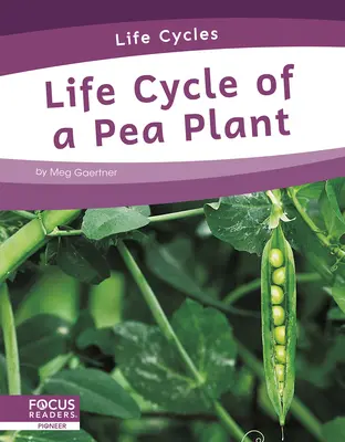 Ciclo de vida de un guisante - Life Cycle of a Pea Plant