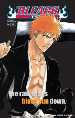 Bleach: Souls. Libro oficial de personajes [Con pegatinas] - Bleach: Souls. Official Character Book [With Stickers]