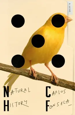 Historia natural - Natural History