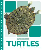 Tortugas - Turtles