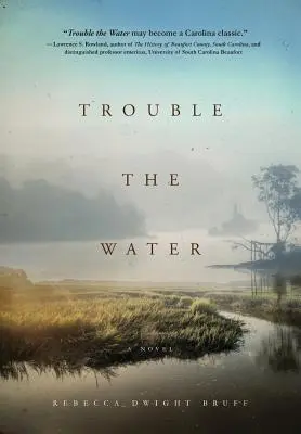 Trouble The Water