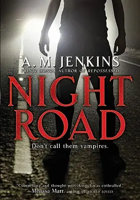 Camino Nocturno - Night Road