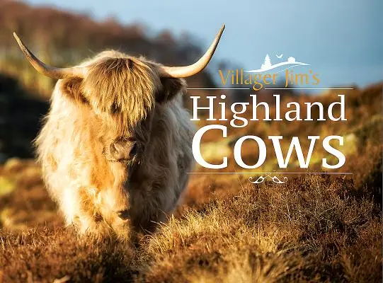 Las vacas de las Highlands de Villager Jim - Villager Jim's Highland Cows