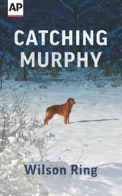 Atrapar a Murphy - Catching Murphy