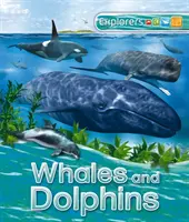 Exploradores: Ballenas y delfines - Explorers: Whales and Dolphins