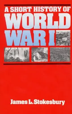 Breve historia de la Primera Guerra Mundial - A Short History of World War I