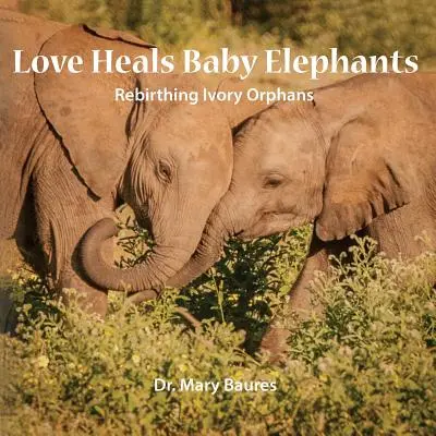 El amor cura a las crías de elefante; renacimiento de los huérfanos de marfil - Love Heals Baby Elephants; Rebirthing Ivory Orphans