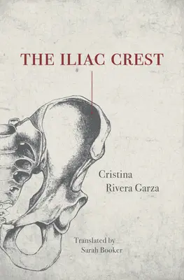 La Cresta Ilíaca - The Iliac Crest