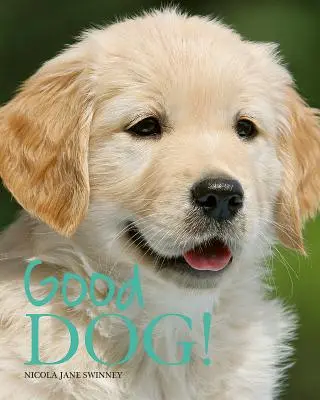 Buen perro - Good Dog!