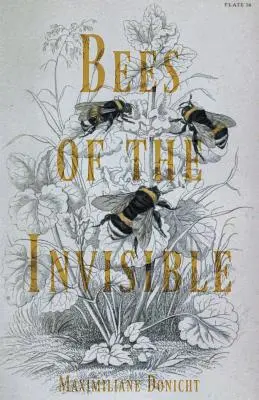 Abejas de lo invisible - Bees of the Invisible