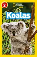 Koalas - Nivel 2 - Koalas - Level 2