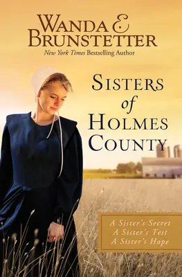 Hermanas del condado de Holmes - Sisters of Holmes County