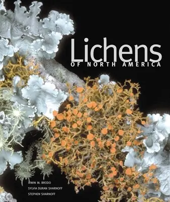 Líquenes de Norteamérica - Lichens of North America