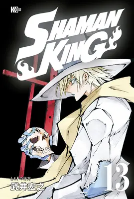 Shaman King Omnibus 6 (Vol. 16-18)