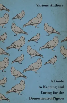 Guía para la cría y el cuidado de la paloma doméstica - A Guide to Keeping and Caring for the Domesticated Pigeon