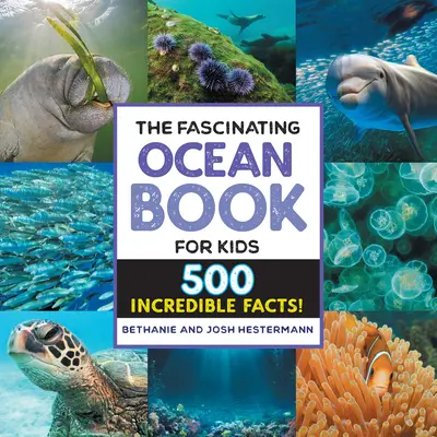 El fascinante libro del océano para niños: ¡500 datos increíbles! - The Fascinating Ocean Book for Kids: 500 Incredible Facts!