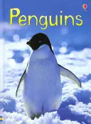 Pingüinos - Penguins