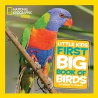 El primer gran libro de aves para niños de National Geographic - National Geographic Little Kids First Big Book of Birds