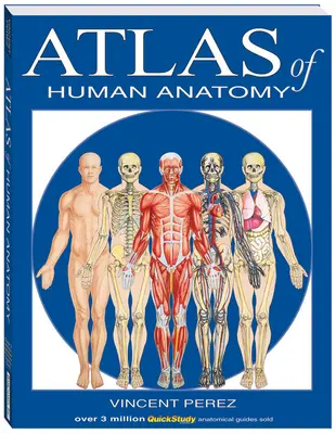 Atlas de anatomía humana - Atlas of Human Anatomy