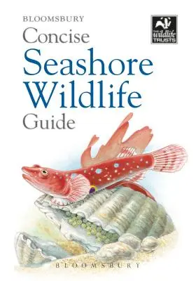 Guía concisa de la fauna de la costa - Concise Seashore Wildlife Guide