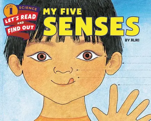 Mis cinco sentidos - My Five Senses