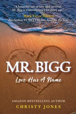 Mr. Bigg El amor tiene un nombre - Mr. Bigg: Love Has a Name