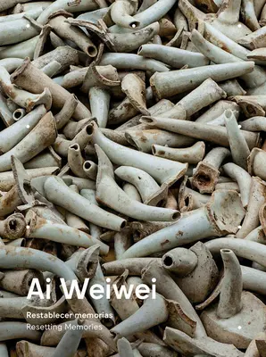 AI Weiwei: Reajustar los recuerdos - AI Weiwei: Resetting Memories