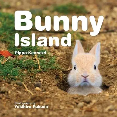La isla de las conejitas - Bunny Island