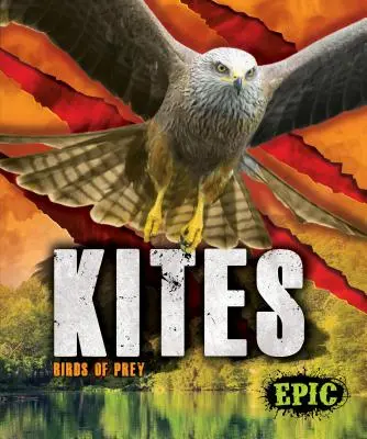 Cometas: aves rapaces - Kites: Birds of Prey