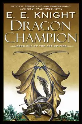 Campeón de dragones - Dragon Champion