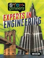 STEM-gineers: Expertos en ingeniería - STEM-gineers: Experts of Engineering